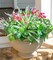 20PCS Artificial Plants for Outdoor Decor Realistic Faux Greenery & Flowers Fake Plastic Leaves with Stems UV Resistant Outside Bushes for Garden Patio and Porch